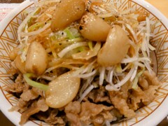 白髪ネギニンニク牛丼