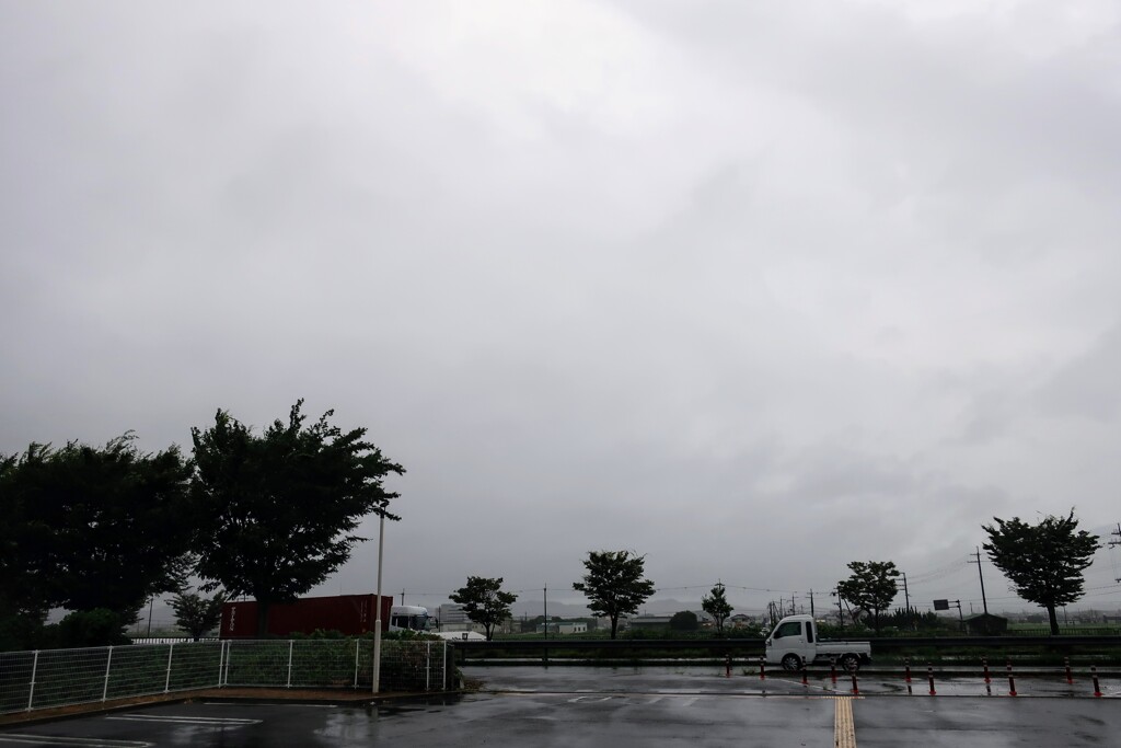 雨