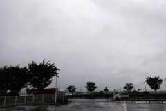 雨