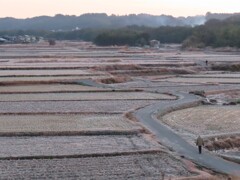 冬の田園