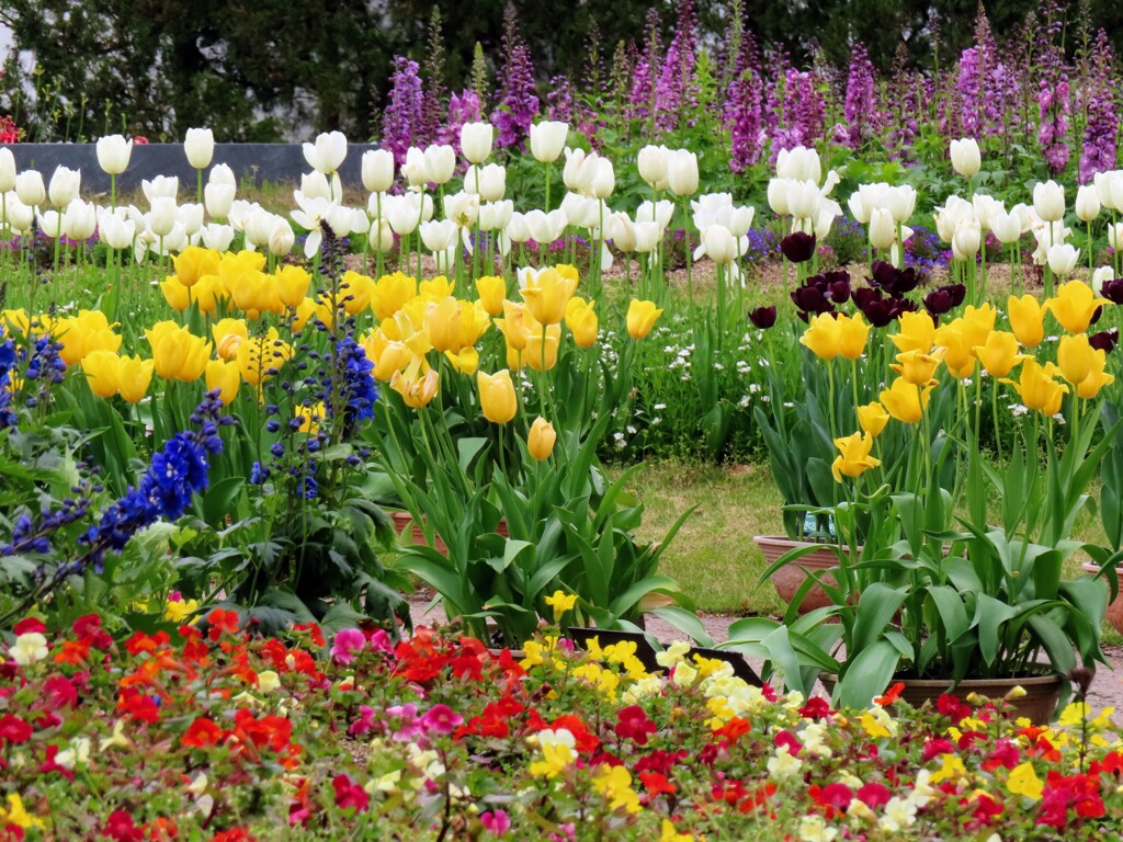 県立フラワーセンターにて