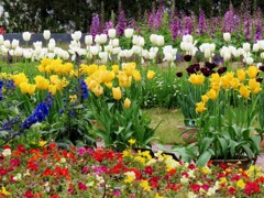 県立フラワーセンターにて