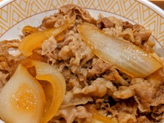 ねぎだく牛丼
