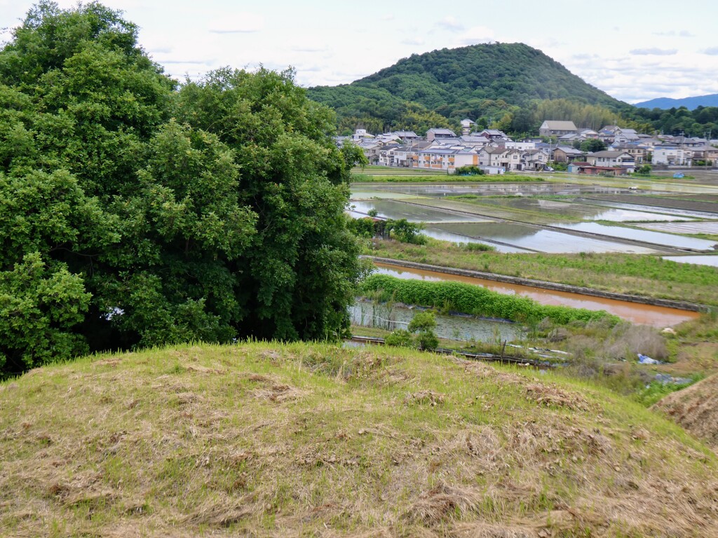 古墳と畝傍山