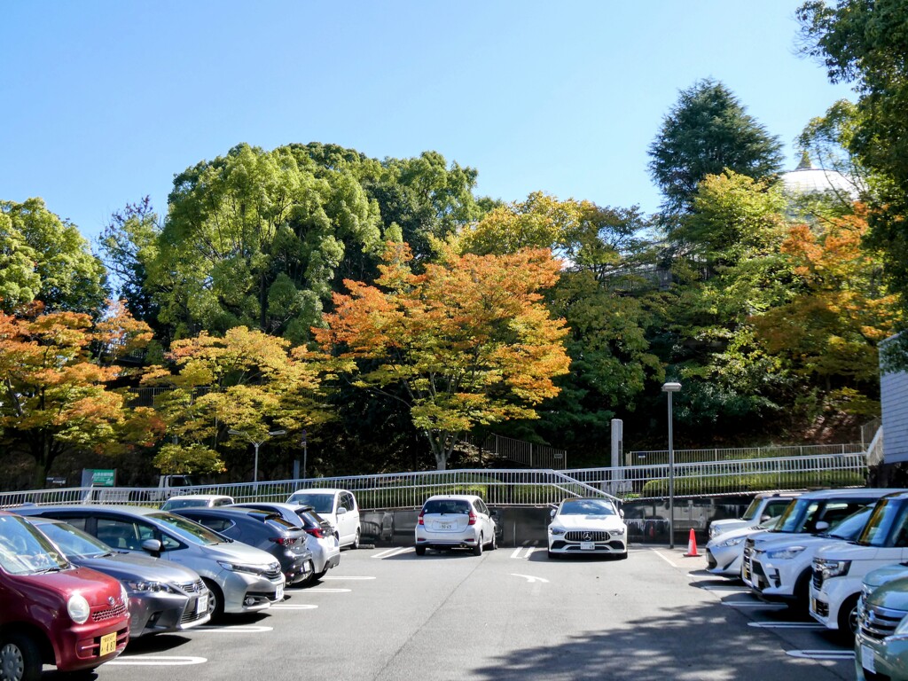 駐車場と紅葉