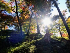 秋の太陽