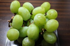 種なし緑ぶどう