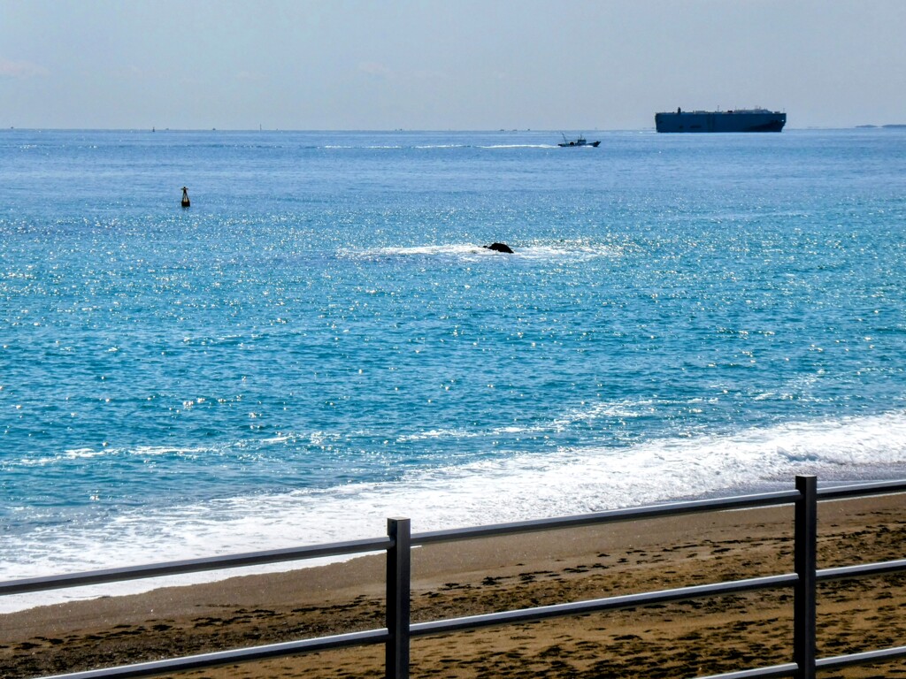 田原市の海