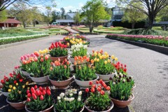 フラワーセンター