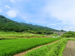 田舎風景