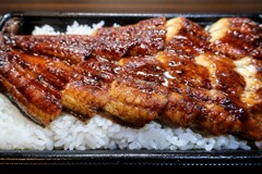 うなぎ弁当