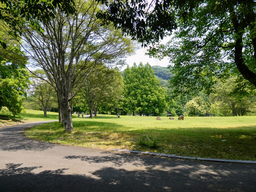 公園にて