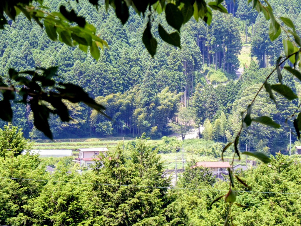 田舎風景