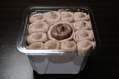 魅惑の生チョコレートケーキ