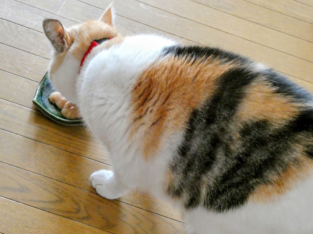 チュール
