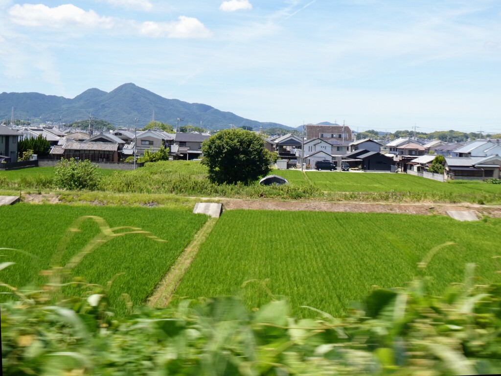 二上山、車窓より