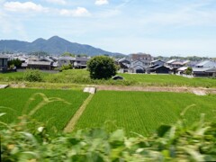 二上山、車窓より