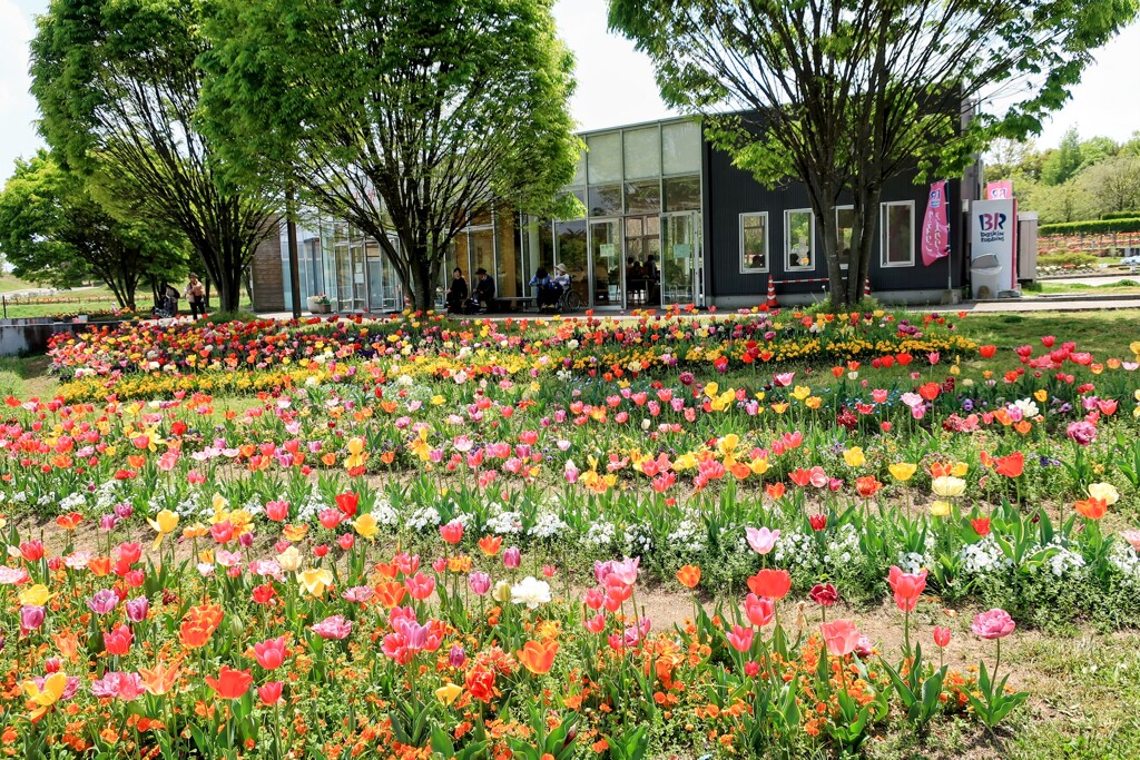 公園の喫茶コーナー