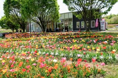 公園の喫茶コーナー