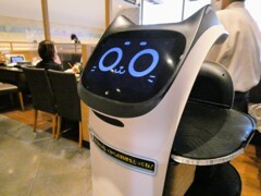 ニャンコウエイトレス