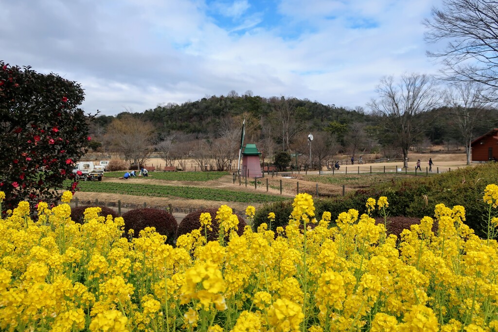 フラワーセンター