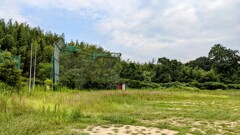 草の多い野球場