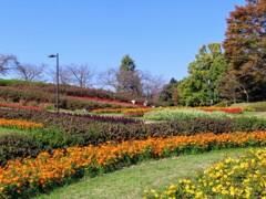公園