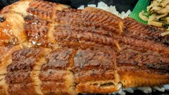 うなぎ弁当