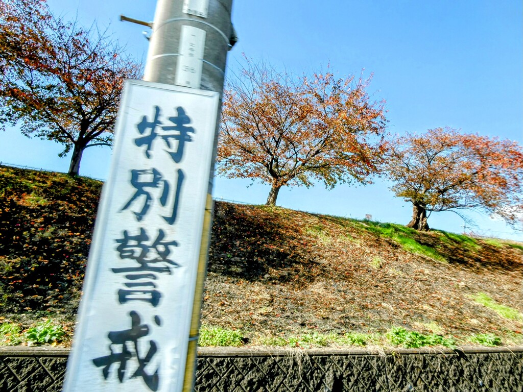 特別警戒
