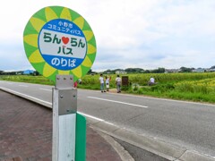 向日葵畑はこちら