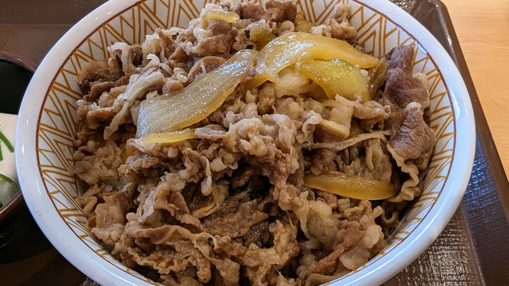 特盛り牛丼