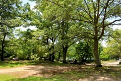 公園の一角