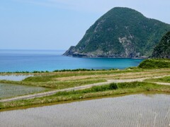 水田と海と山