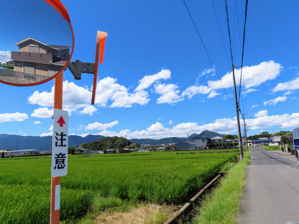 晴れた日