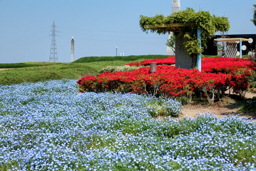 公園の一角
