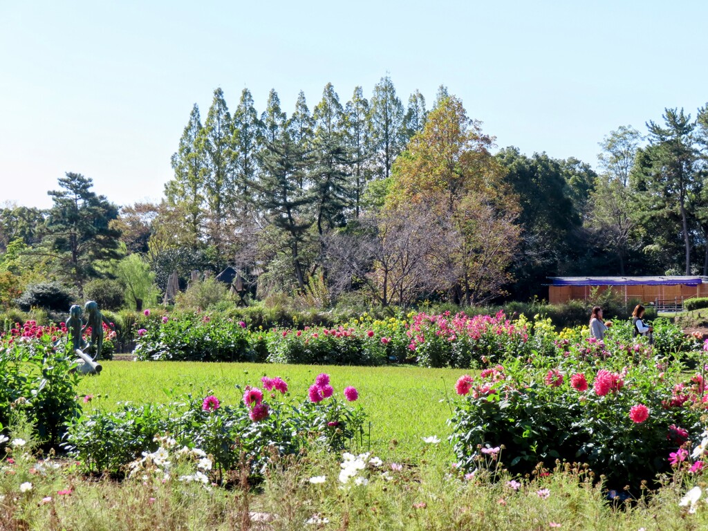 フラワーセンター