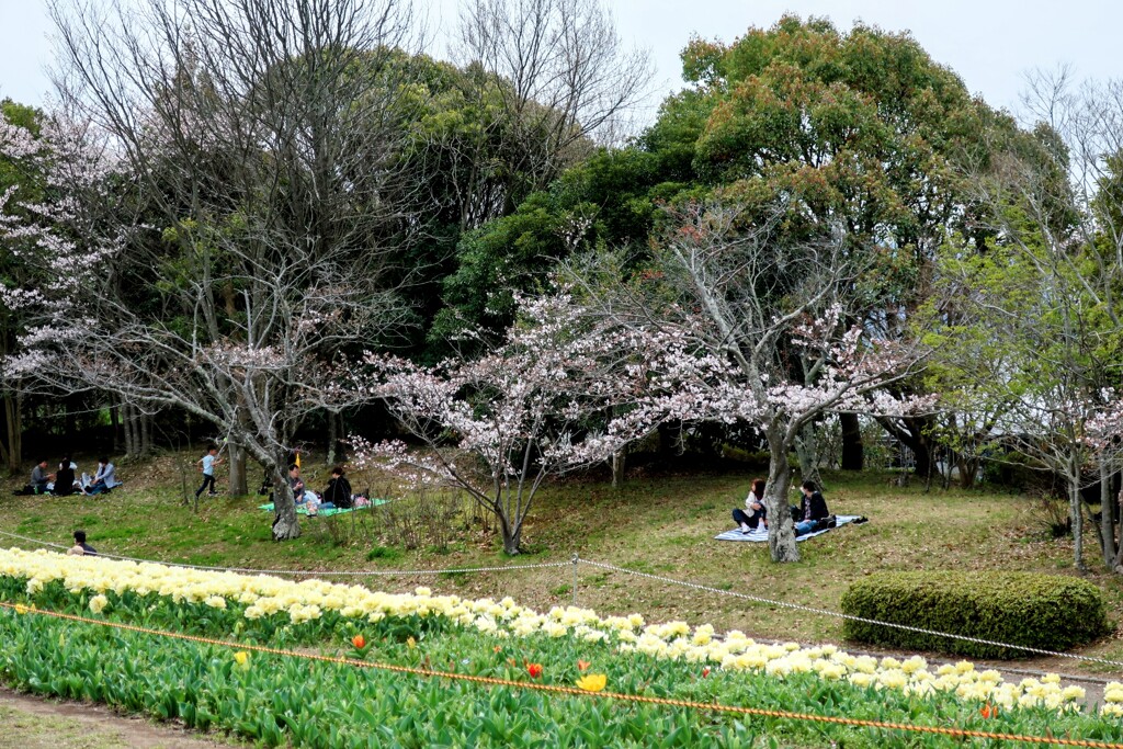 公園にて