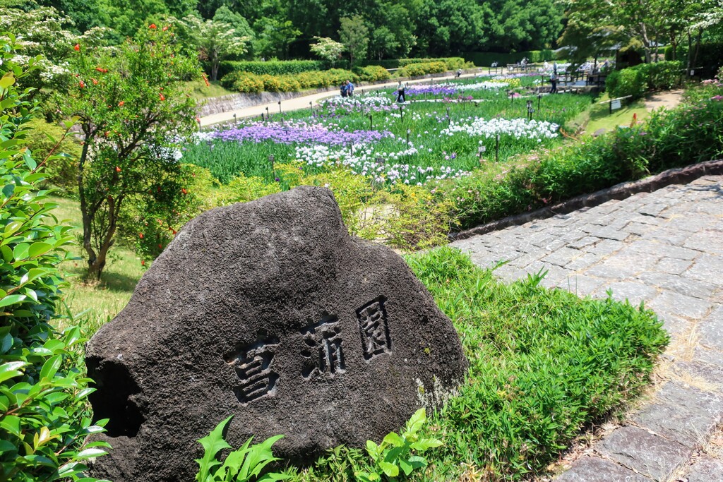菖蒲園