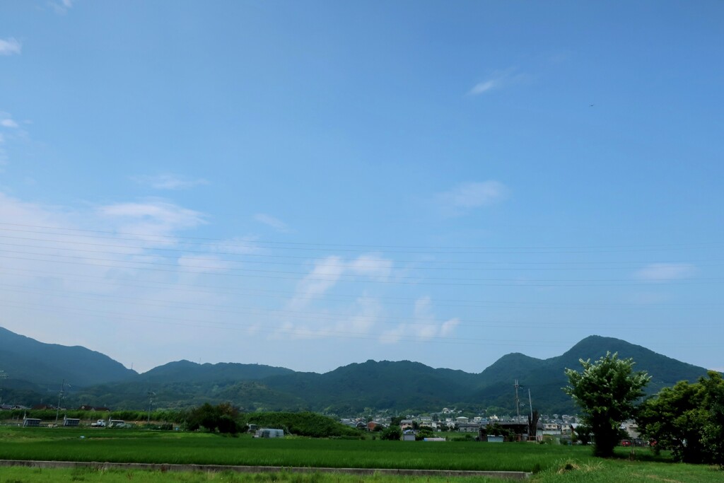 晴天