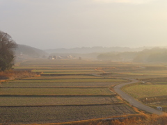 二月の田圃