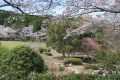 公園