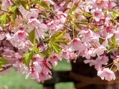 公園にて