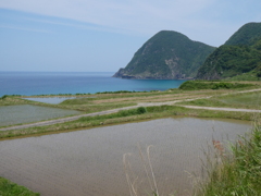 シーサイド水田