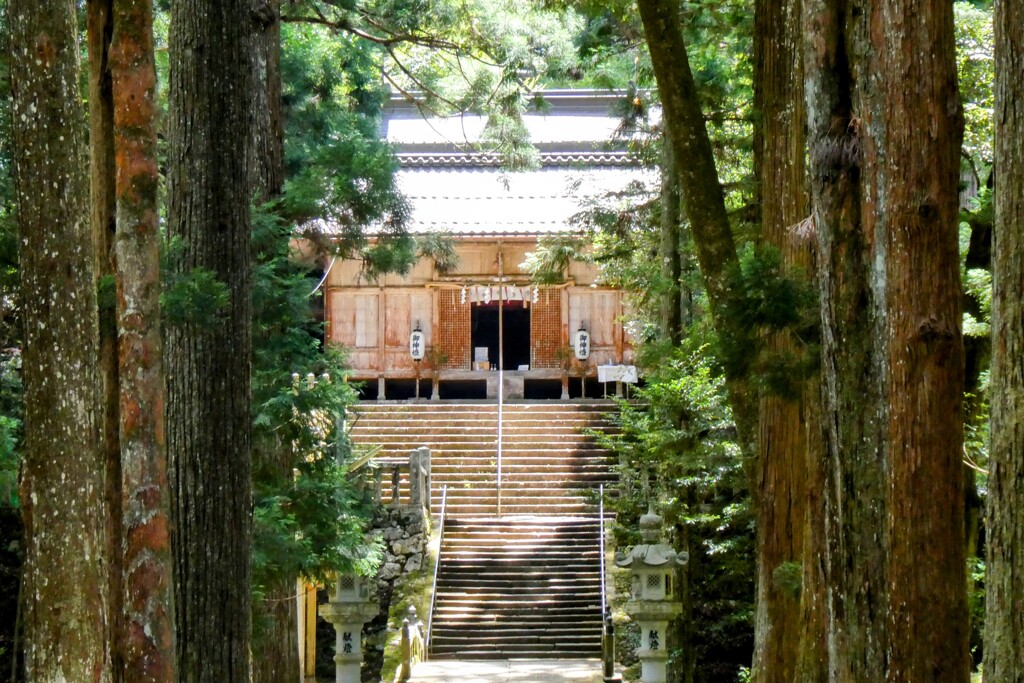 社