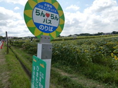 ひまわり園のバス