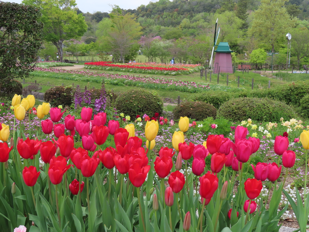 フラワーセンター