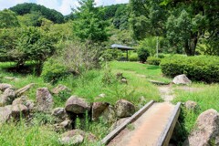 白昼の公園
