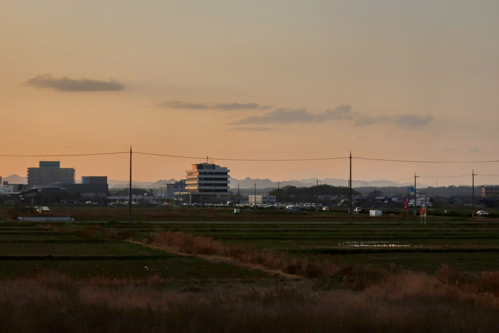 夕刻の市役所