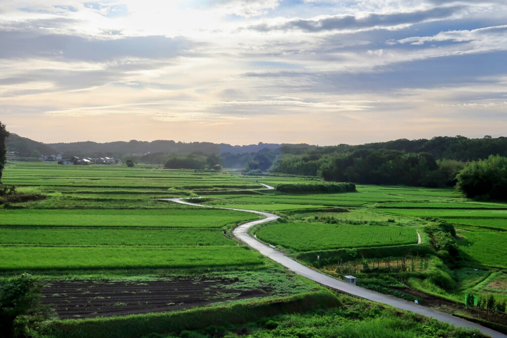 田園