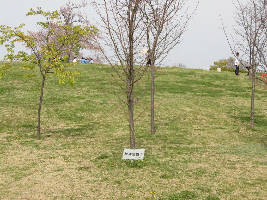 秋篠宮殿下御植樹